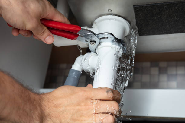 Best Carpet water damage restoration  in Wiggins, MS