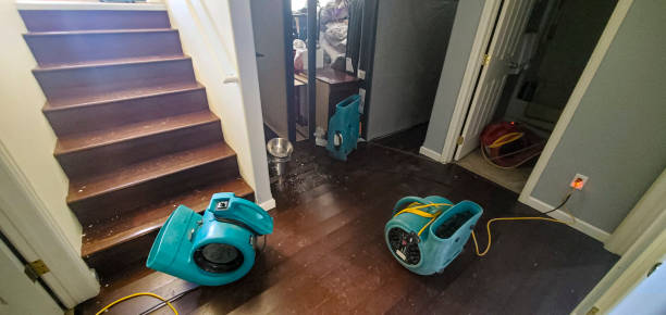 Best Residential water damage restoration  in Wiggins, MS