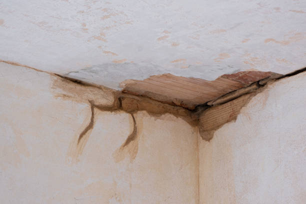 Best Ceiling water damage repair  in Wiggins, MS