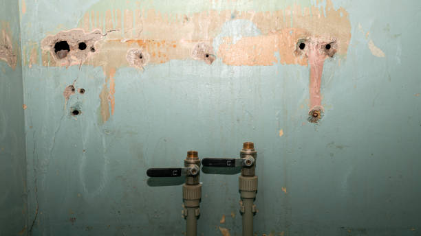 Best Emergency water damage restoration  in Wiggins, MS
