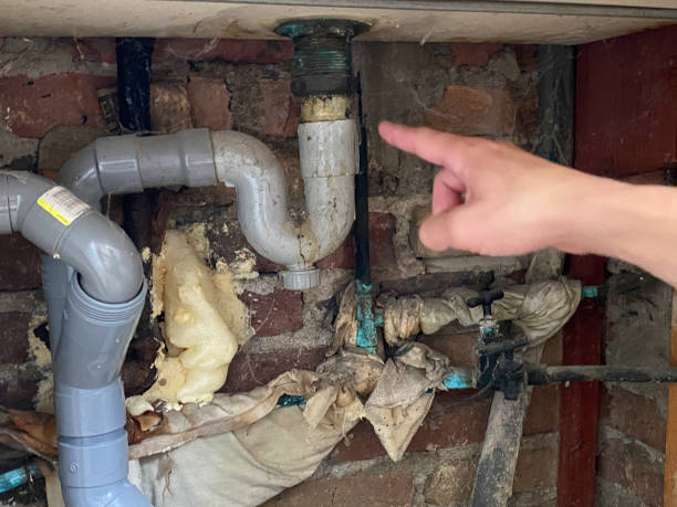 Best Basement water damage restoration  in Wiggins, MS